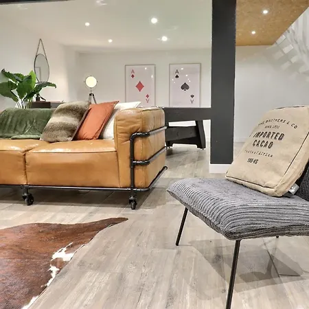 Appartement Loft Billard *